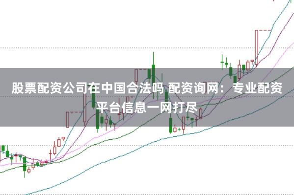 股票配资公司在中国合法吗 配资询网：专业配资平台信息一网打尽