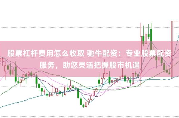 股票杠杆费用怎么收取 驰牛配资：专业股票配资服务，助您灵活把握股市机遇