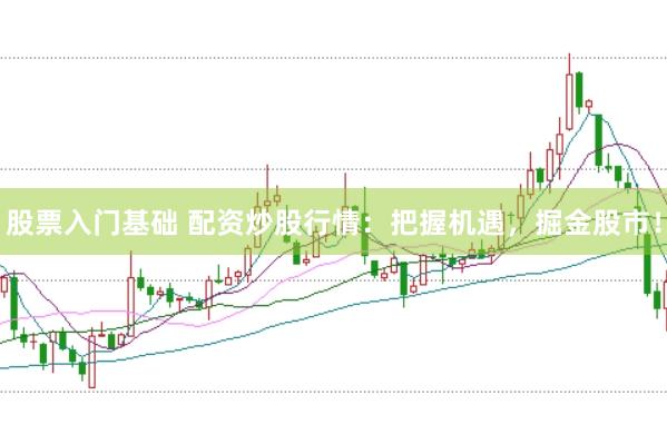 股票入门基础 配资炒股行情：把握机遇，掘金股市！