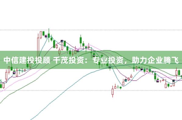 中信建投投顾 千茂投资：专业投资，助力企业腾飞