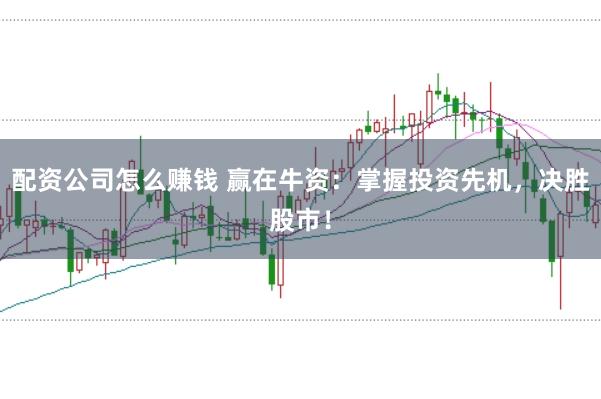 配资公司怎么赚钱 赢在牛资：掌握投资先机，决胜股市！