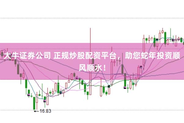 大牛证券公司 正规炒股配资平台，助您蛇年投资顺风顺水！