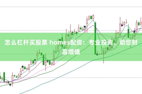 怎么杠杆买股票 homes配资：专业投资，助您财富增值