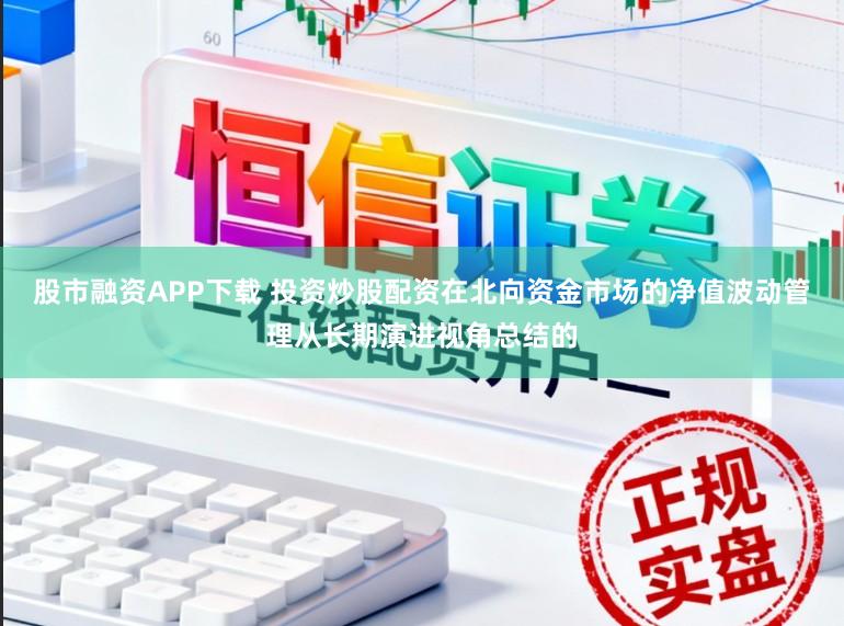 股市融资APP下载 投资炒股配资在北向资金市场的净值波动管理从长期演进视角总结的