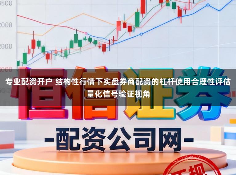 专业配资开户 结构性行情下实盘券商配资的杠杆使用合理性评估量化信号验证视角