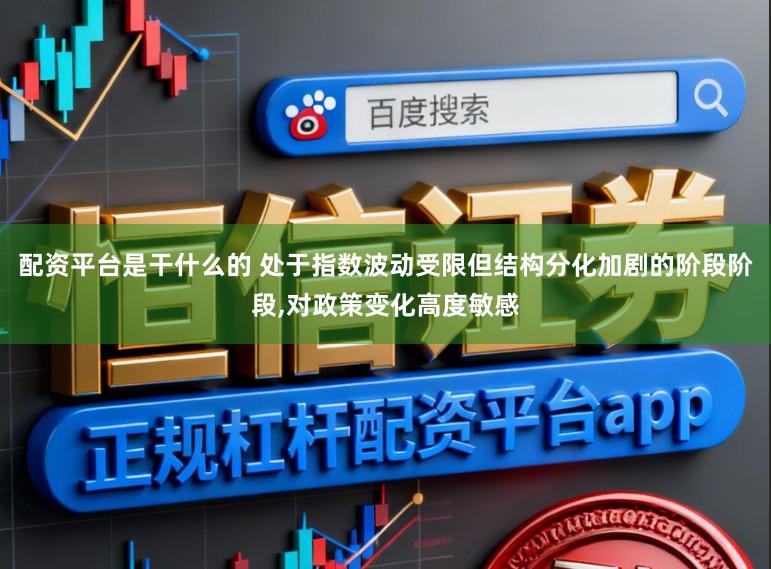 配资平台是干什么的 处于指数波动受限但结构分化加剧的阶段阶段,对政策变化高度敏感