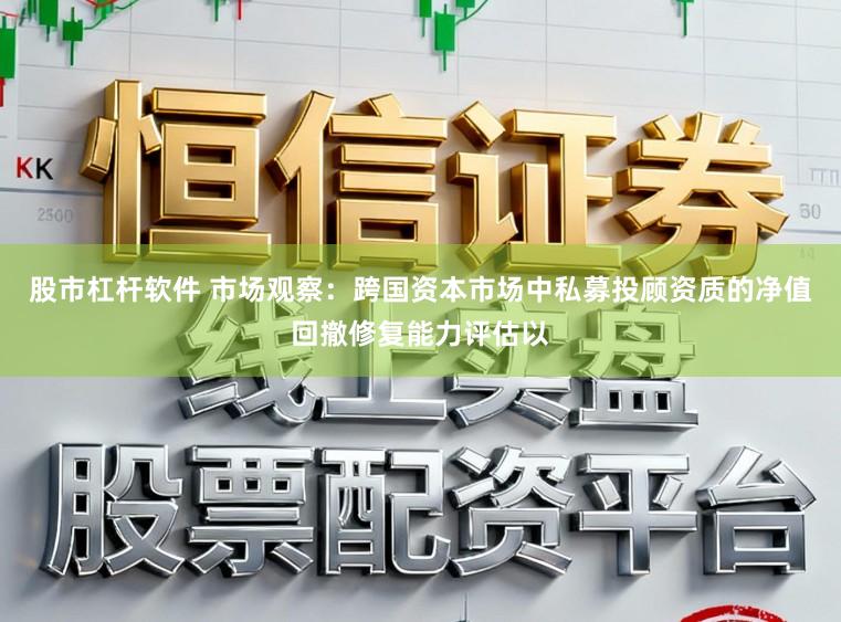 股市杠杆软件 市场观察：跨国资本市场中私募投顾资质的净值回撤修复能力评估以